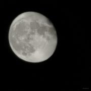 鲨脆脆脆的个人资料头像