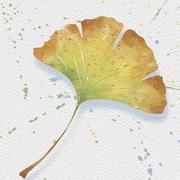 用户1385303304977的个人资料头像