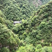 王大王663头像