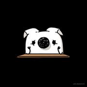 Cooper的个人资料头像