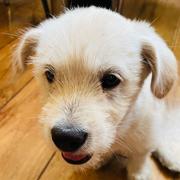 佑晨的个人资料头像