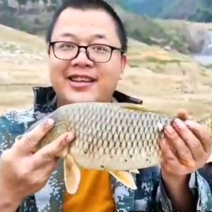 老男孩伯哥（爱钓鱼）头像
