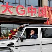 大G中国俱乐部猪头哥头像