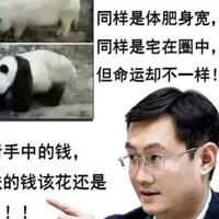 鹅厂集团懂事会主席头像