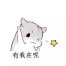 MX丶小风的个人资料头像