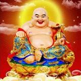 尼古拉斯沣哥头像