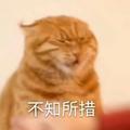18749250660头像