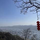 用户74318561868头像