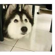 沉默758的个人资料头像