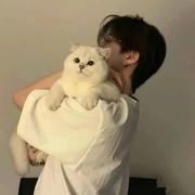 Halluz的个人资料头像