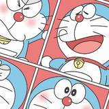陈大大2792头像
