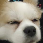 佰御门大药房的个人资料头像