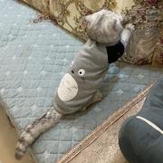 小李不是栗的个人资料头像