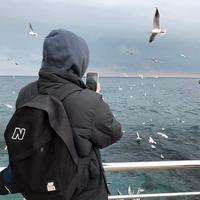 李摆烂¹⁹⁹⁶头像