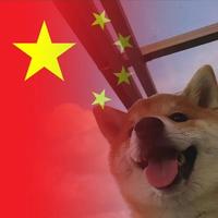 执着的小猫0u7头像