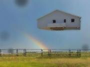 务守本真的个人资料头像