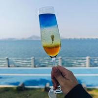 跑过来逛逛头像