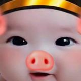 boy5598头像