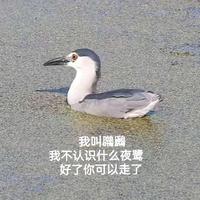 单人影12138头像