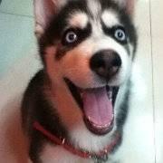 EEEEP的个人资料头像