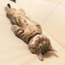 HElloWorld66824的个人资料头像