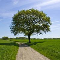 山里有神仙头像