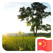 未来的你192的个人资料头像