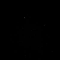 杏花微雨丨头像