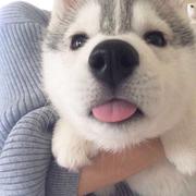 yitianyitian的个人资料头像