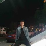 刨根问底拦不猪头像