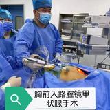 柳叶金刀头像
