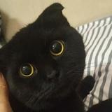 小王小王—不慌不忙头像