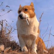 郑舜的个人资料头像