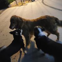 用户5691418309846头像