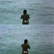 yutpzf的个人资料头像