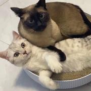 李佳顺的个人资料头像