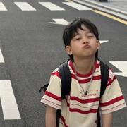 追求技能包的菜鸡的个人资料头像