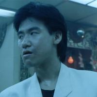 傻猪猪唉头像