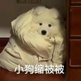 人人强酸头像