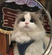 _Euphoria的个人资料头像