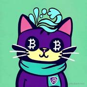CodeSmithy的个人资料头像