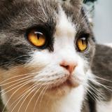 无双海浪USz头像