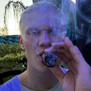 Istanbul2023610的个人资料头像