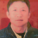 郑罗头像