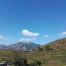 fly本尊56812的个人资料头像