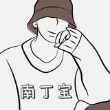 南丁宝头像