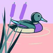 aeilang的个人资料头像