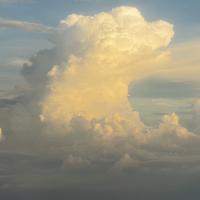 忽而觉得自己很累头像