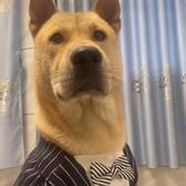 用户5081323556064头像