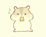 purpleOrange的个人资料头像